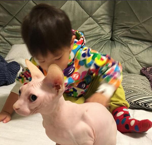 贫穷限制我的生活霍思燕的无毛猫生娃待遇刷新人们的世界观