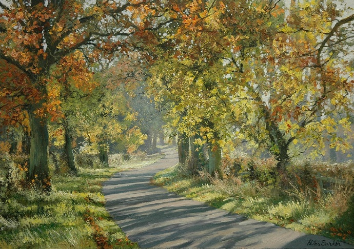 英国艺术家 peter barker 的油画风光作品