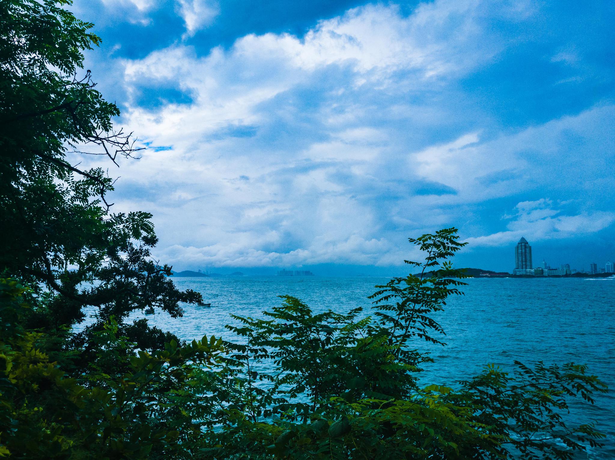 身边的美景--太平角步行道|平角|步行道|美景_新浪新闻
