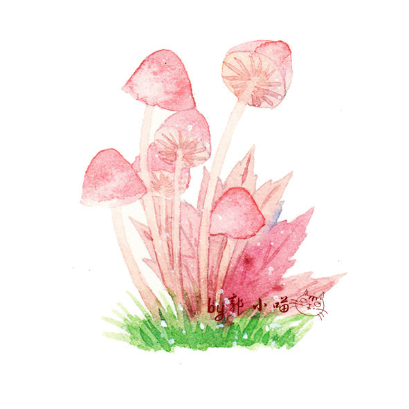 长蘑菇啦~一组彩色蘑菇水彩插画. ‖.