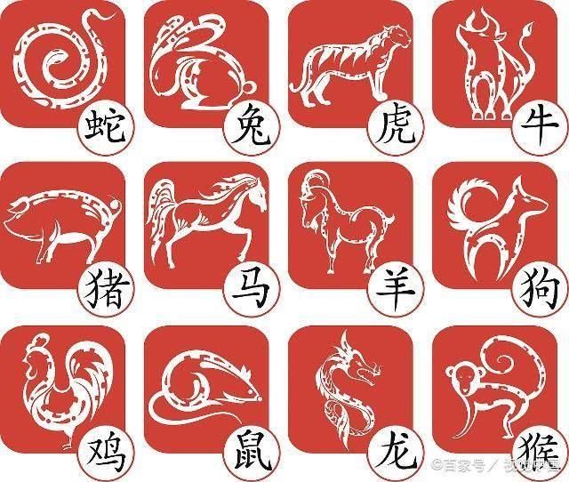 十二生肖怎么知道自己的命运好不好如何才能转运