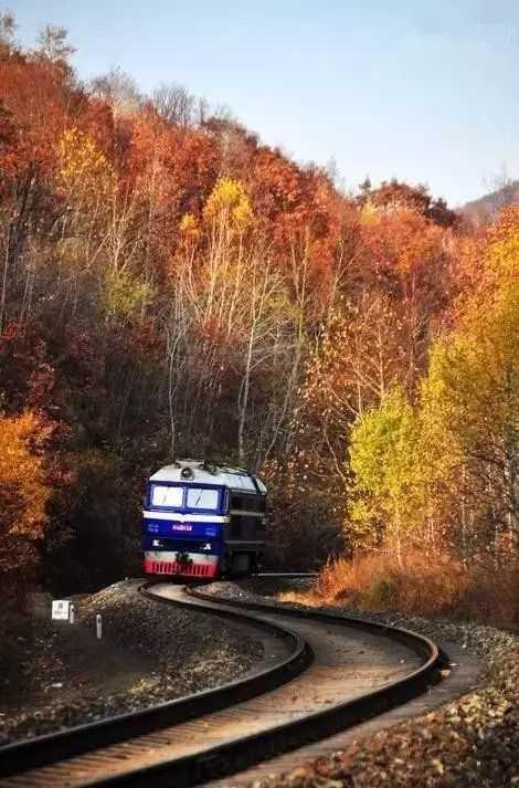 470_713竖版 竖屏