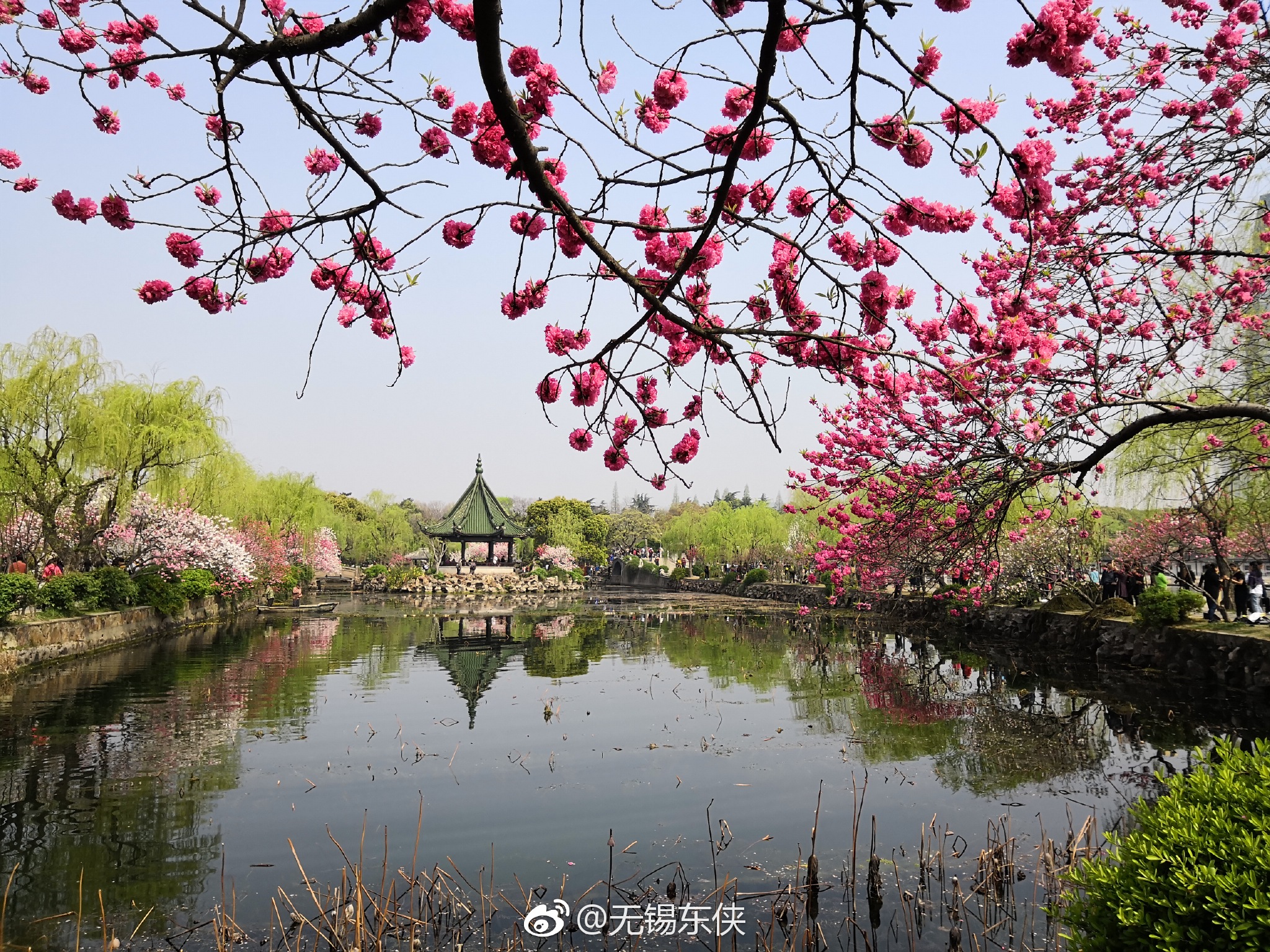 无锡蠡园三面环水,春天的时候,桃花盛开,拂堤春晓,景色迷人
