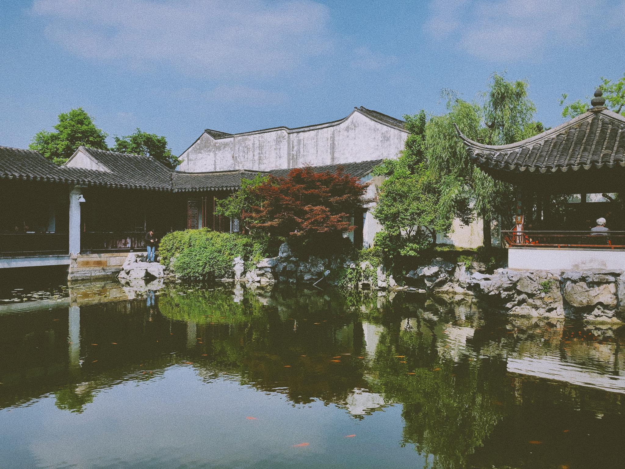 艺圃 · 苏州|艺圃|苏州_新浪新闻
