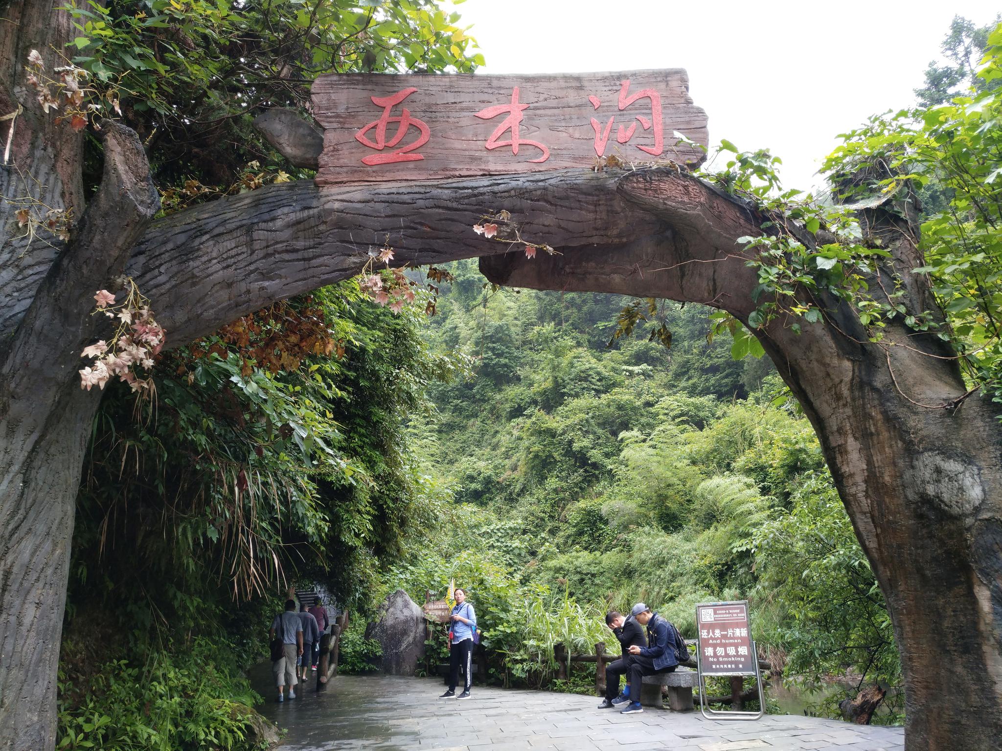走进清凉亚木沟,水是亚木沟的精华和灵魂,这里有丰富的水资源