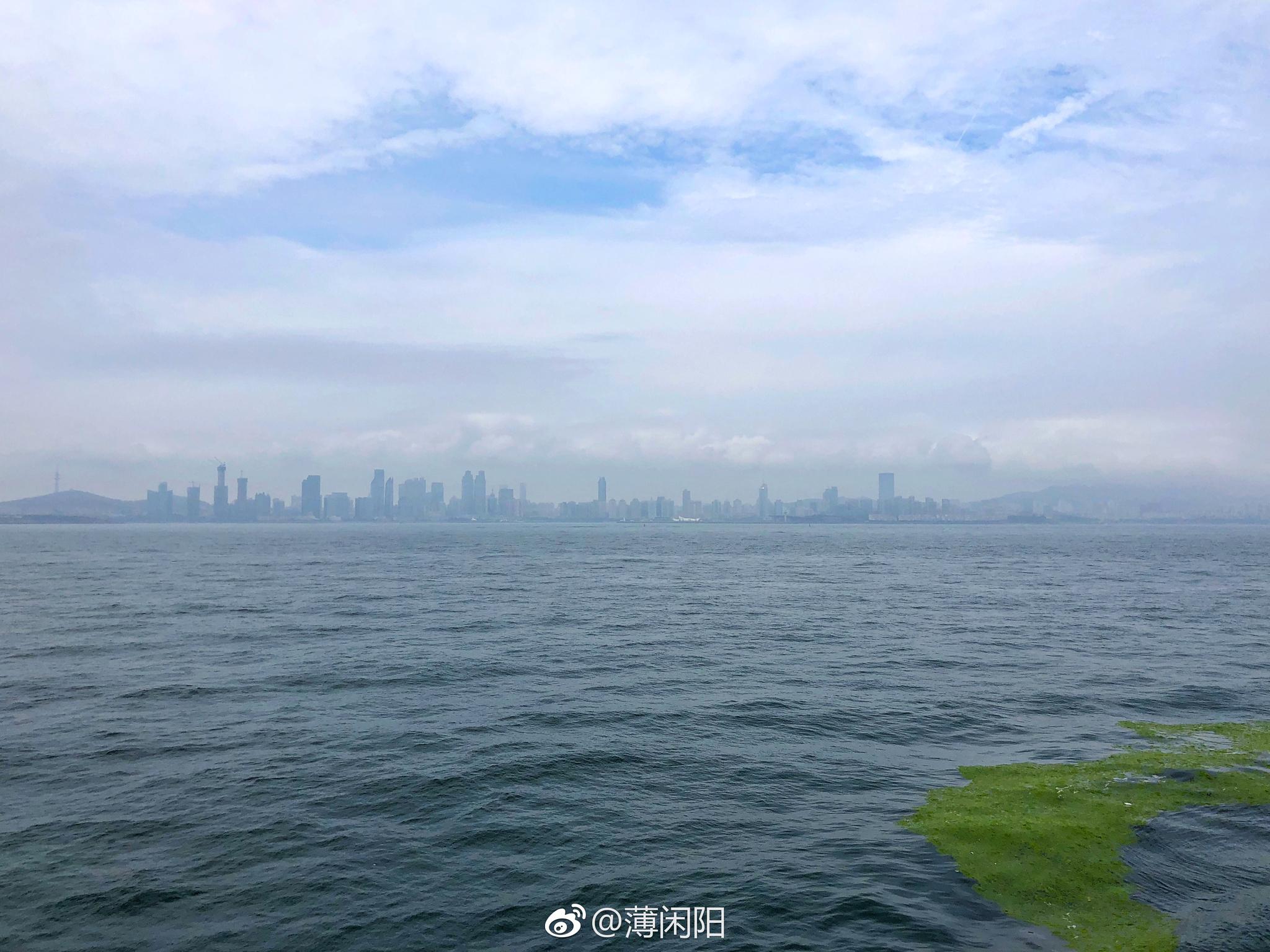 2018年首波浒苔已到达青岛