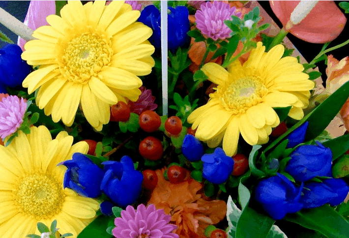 清晨因朝阳而美丽, 夜晚因群星而璀璨, 雨天因彩虹而绚丽, 红花因绿叶