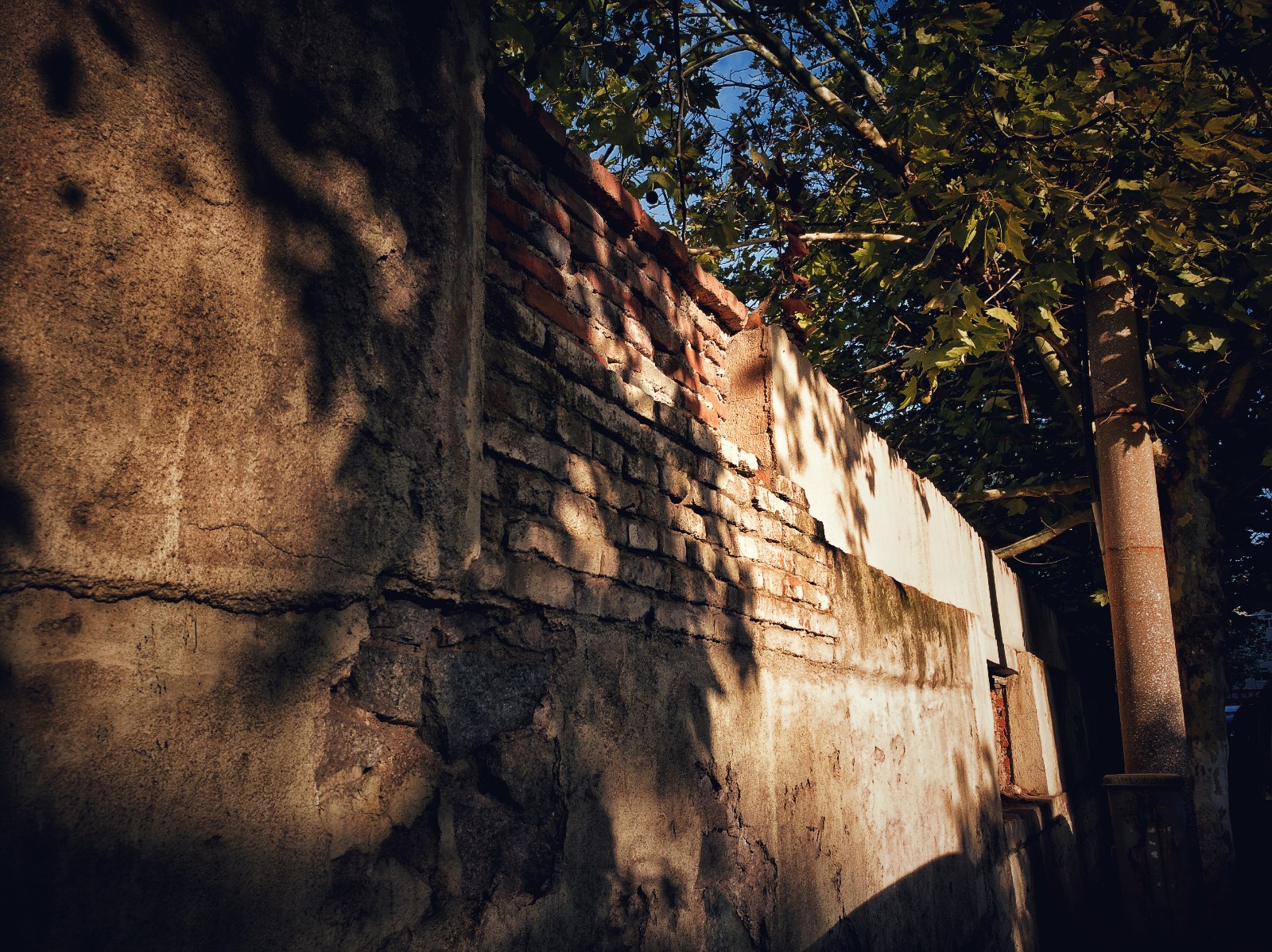 【手机映像】老围墙