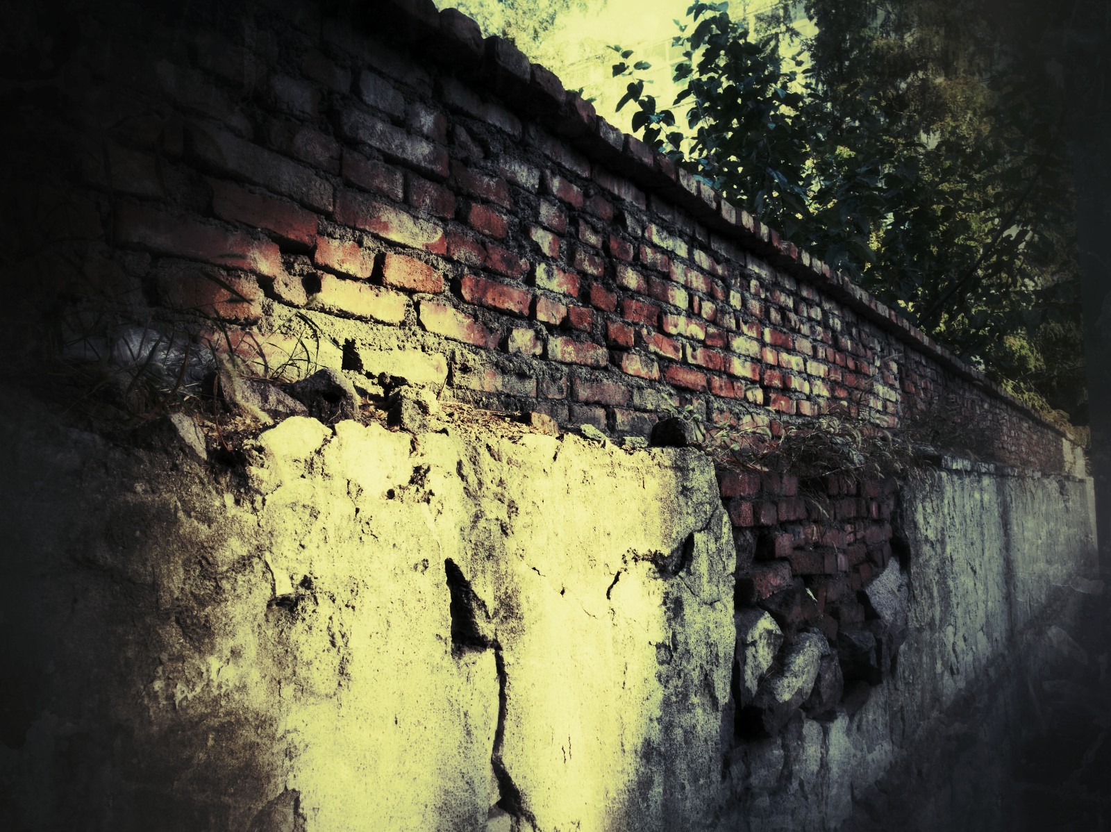 【手机映像】老围墙