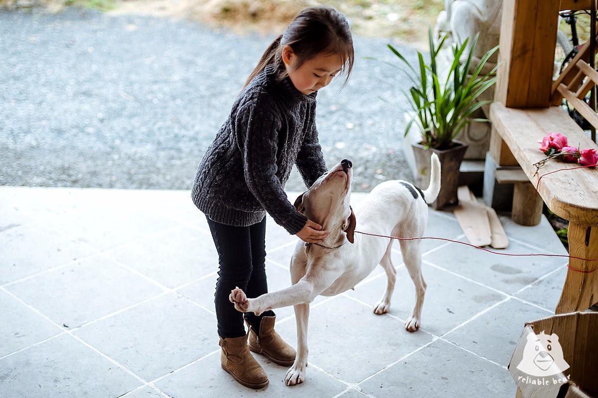 摄影师抓拍到的孩子与小动物们的温情瞬间