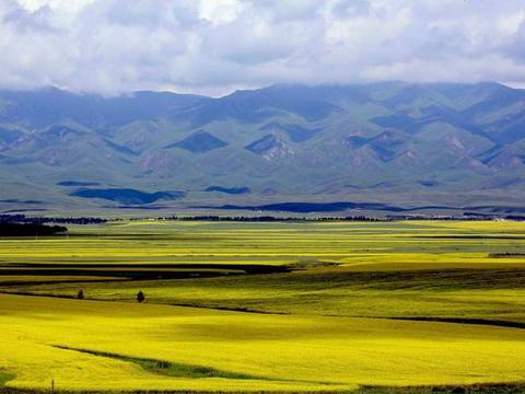 河谷,山峰,深峽,森林,去新疆,這些不要錯過