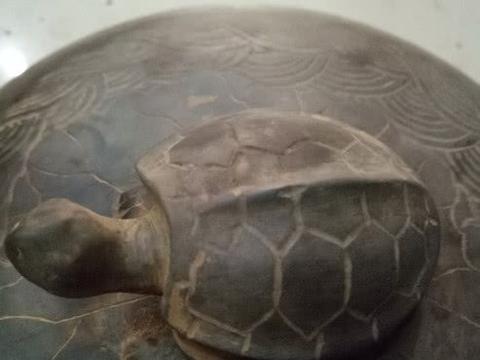 上古神话中的六种神龟,第3种是大禹坐骑,第1种可以跟青龙叫板|_新浪新闻