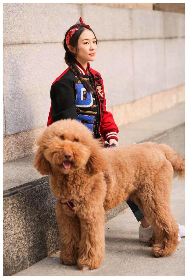 霍思燕真是个公主般的女人, 儿子可爱, 养的狗狗也萌翻了!