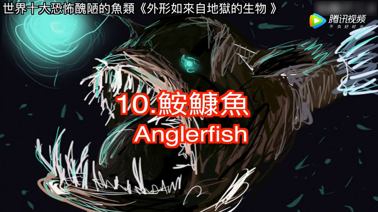 世界上唯一一种能在淡水中生活的大型危险鲨鱼:公牛鲨