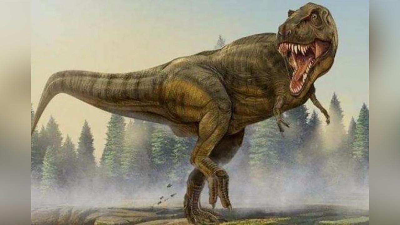 答案你绝对想不到