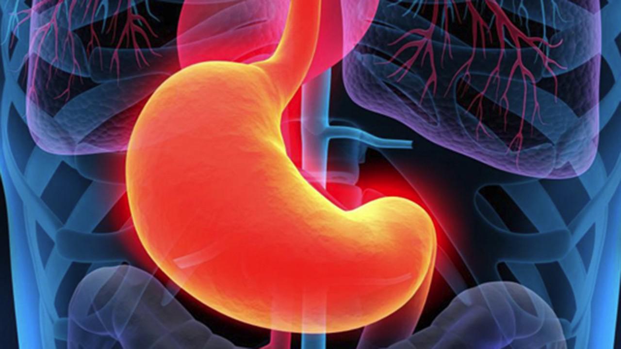 胃酸可以融化钉子,为什么不会把自己也给消化了?看完长见识了!