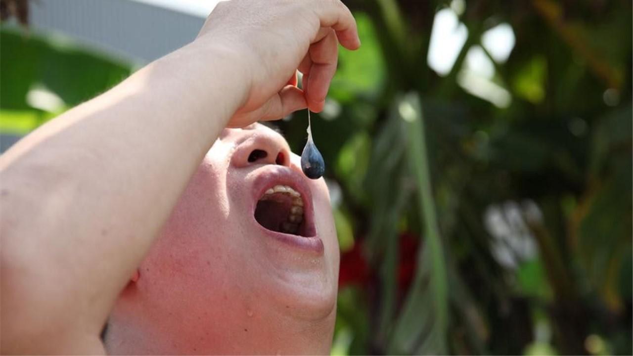 为什么有人说千万不要吃蛇胆?看完后背一凉