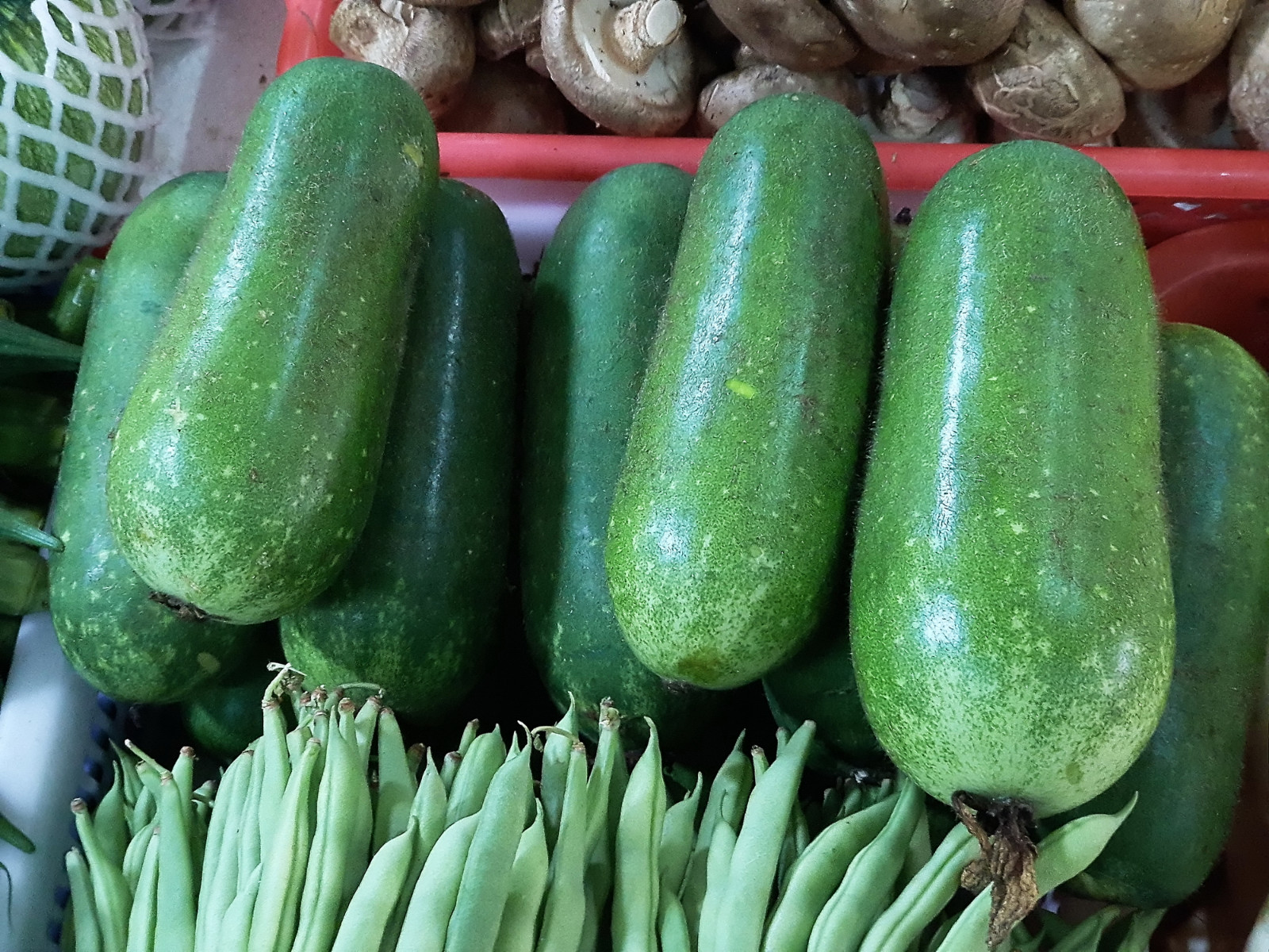 广东加油,今天进入焗炉模式,瓜果也明朗多彩|冬瓜|节瓜|柠檬_新浪新闻