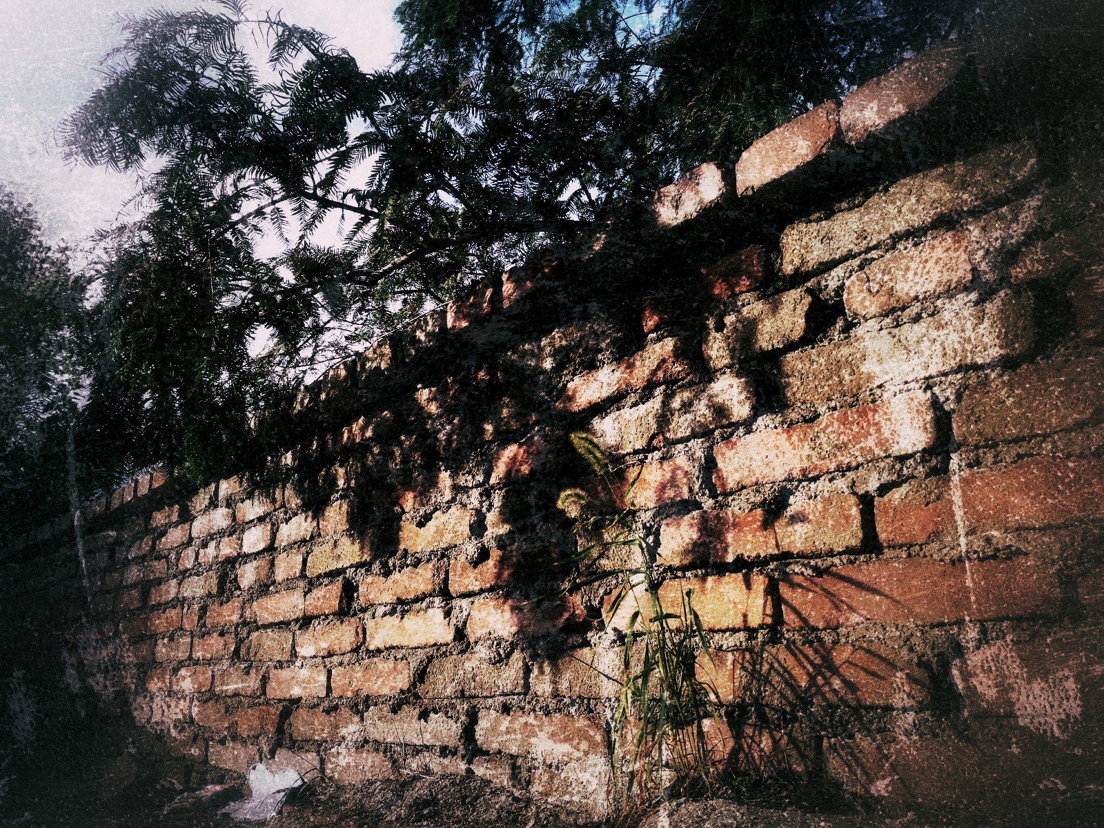 【手机映像】老围墙