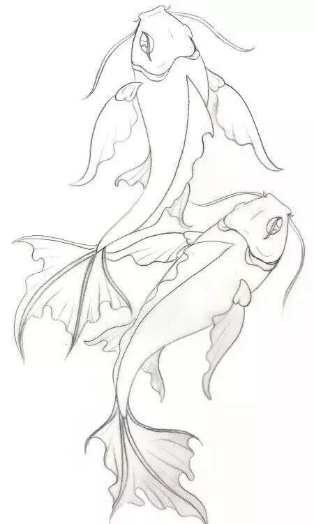 鱼的画法干货喜欢的点赞收藏