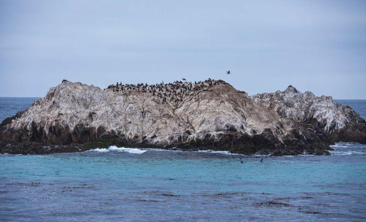 缪尔|肯特|一号_新浪新闻