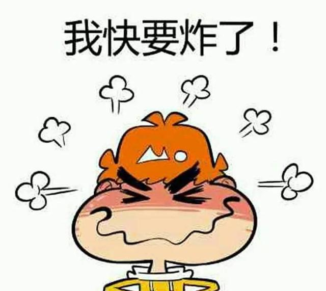 因急事出门让侄子和小奶猫在家回来看到猫气炸了