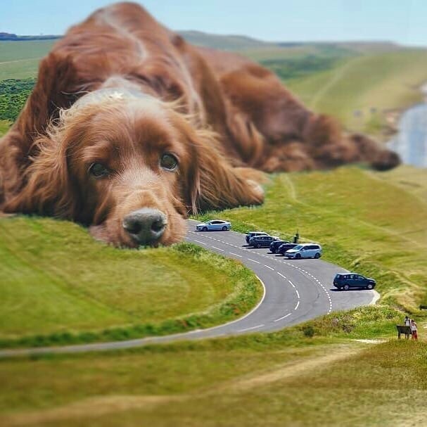 有意思的图片拼接johnnysmith