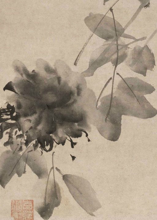 徐渭·水墨牡丹图轴  徐渭的大笔写意牡丹前无古人.