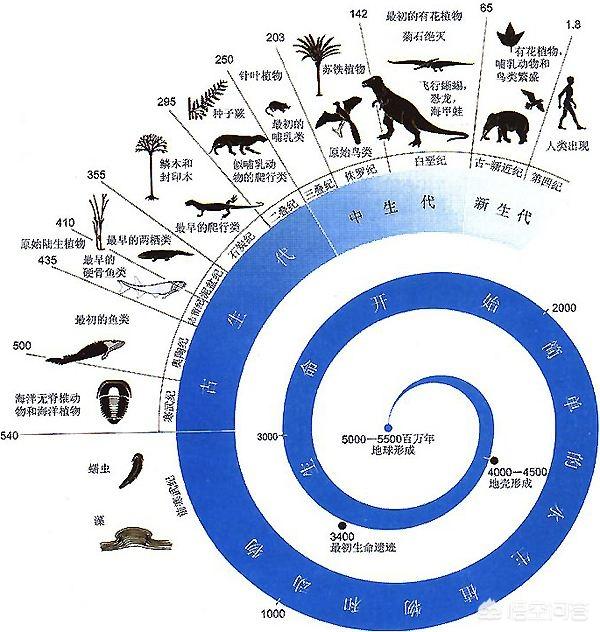 人类是怎么来的？地球怎么来的？|地球|宇宙|人类_新浪新闻