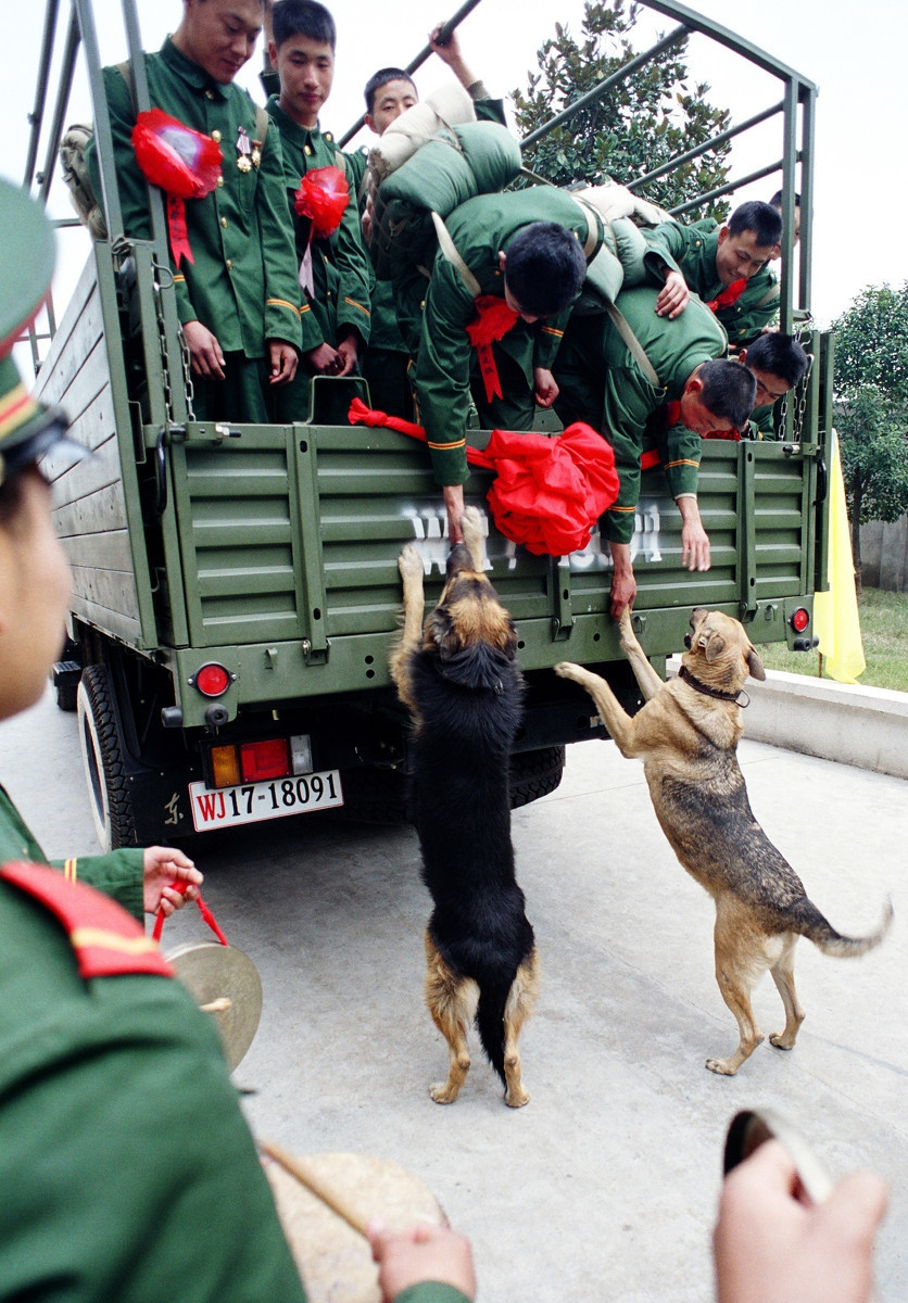 与军犬分别瞬间催泪互敬军礼中心语求求你不要走