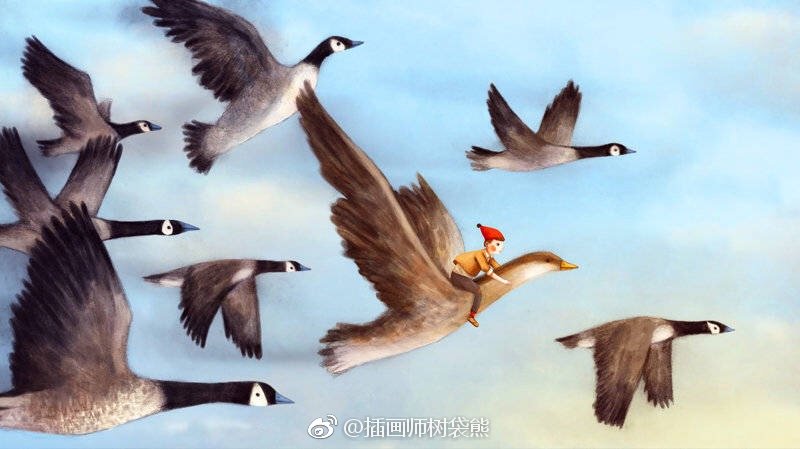 大雁阿卡的性格特点 尼尔斯骑鹅旅行记人物分析