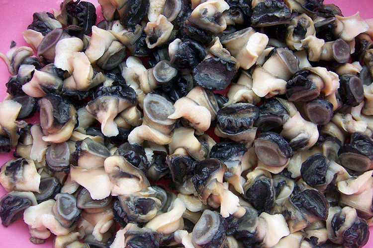 g,蚕豆100g,白面100g,豆饼子200g,原塘颗粒200g,红薯粉100g,螺肉20g