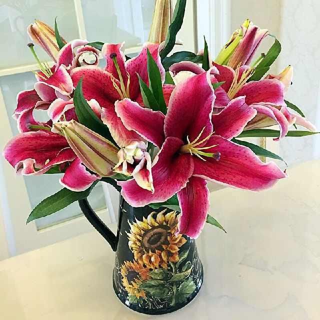 心理测试:你会选哪一瓶花放在卧室