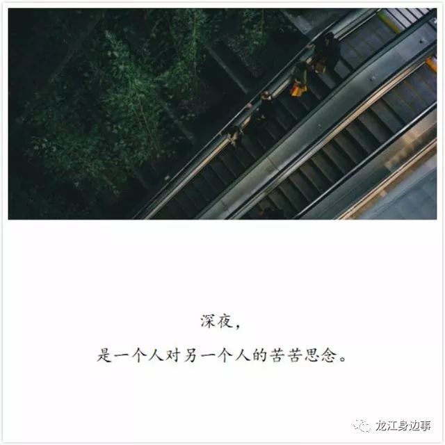 耳边情话语录不经历失恋何以谈爱情不经历失意何以谈人生