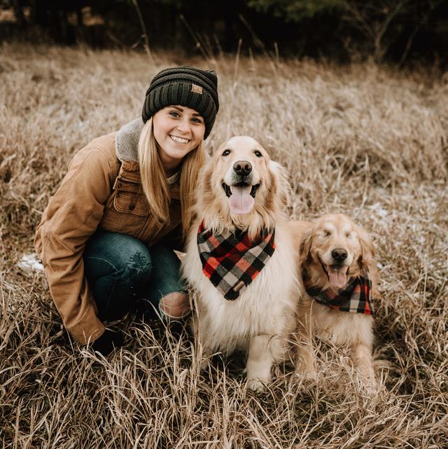 这对金毛的幸福日常,让人感受到暖暖的爱