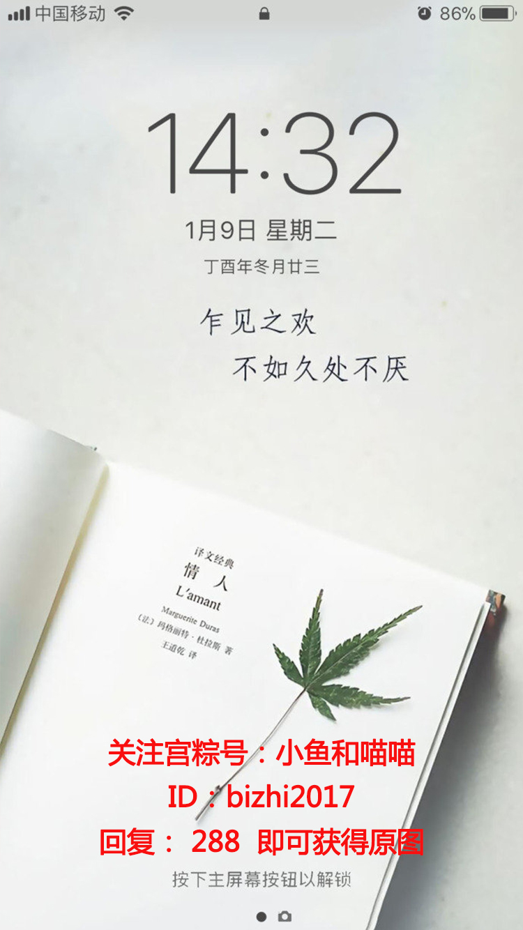 "乍见之欢