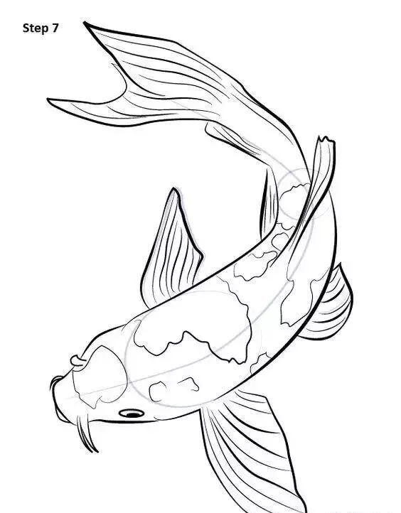 鱼的画法干货喜欢的点赞收藏