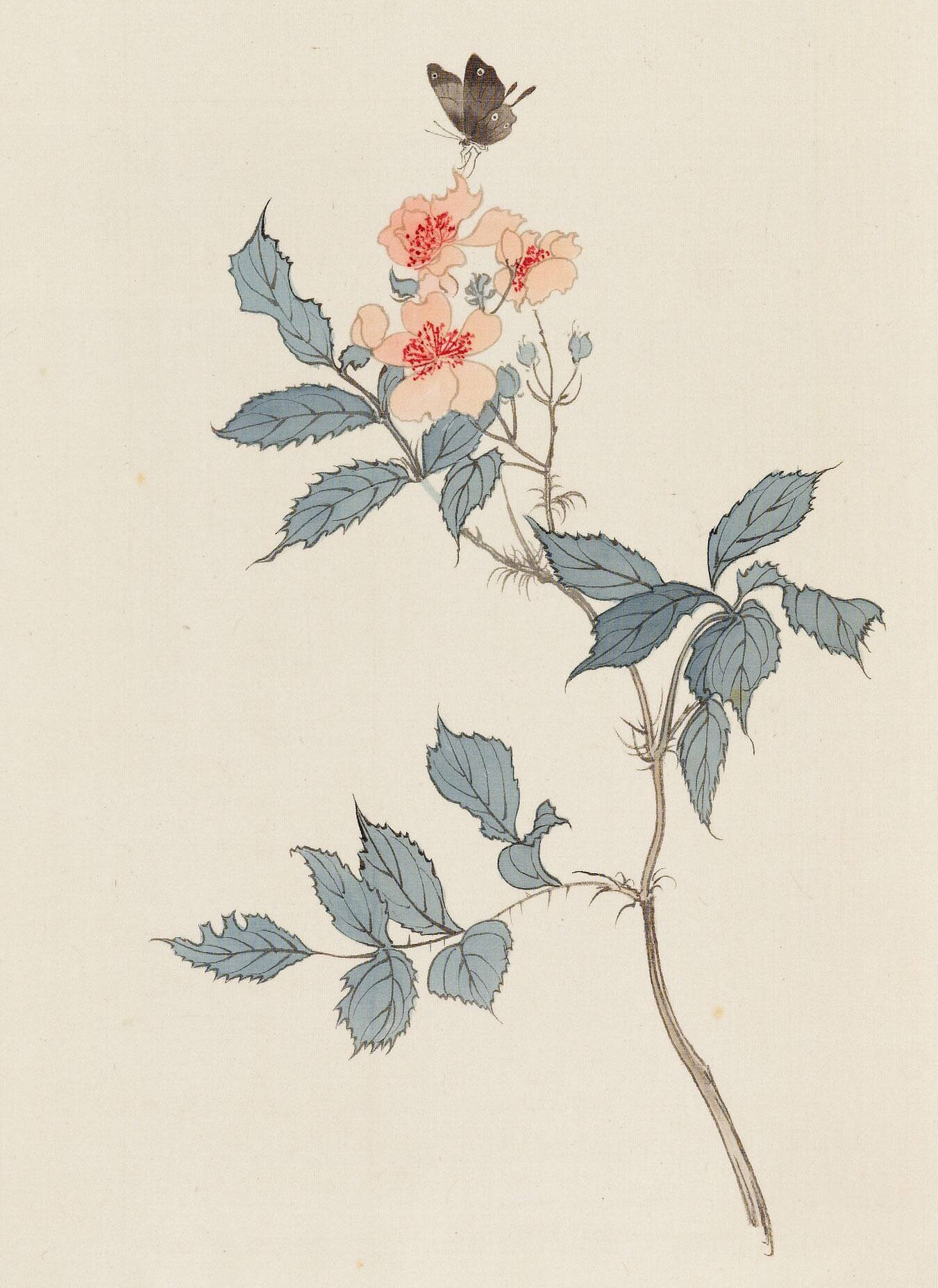 溥心畲 · 花鸟欣赏 …|书画|花鸟_新浪新闻