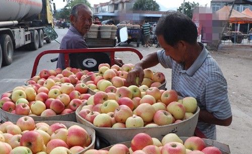 儿子帮父亲卖苹果,半天没人买,儿子的无意之举,一车苹果全卖光