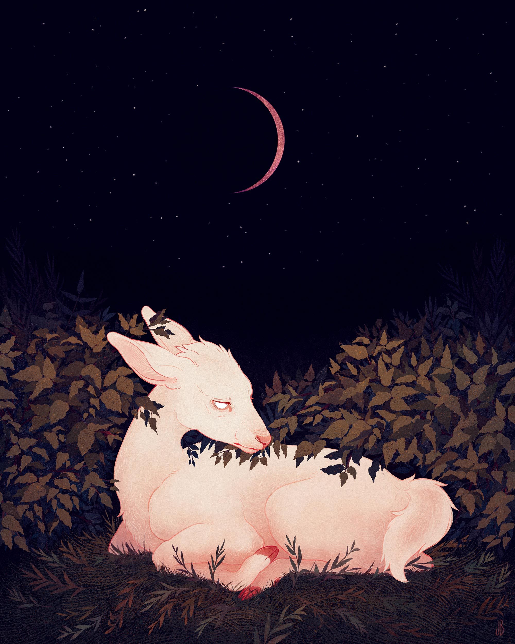 动物出没|水彩画|插画家|幻象_新浪新闻