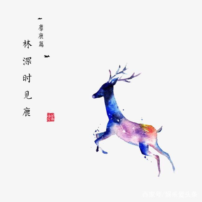 一个男的对你说林深时见鹿海蓝时见鲸这是什么意思