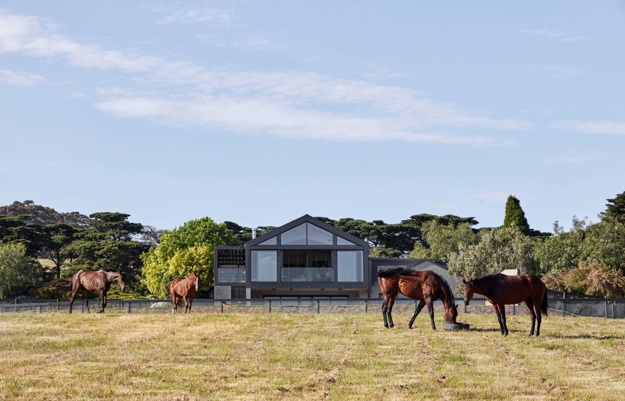 w61设计分享|马场|民宿|格调_新浪网