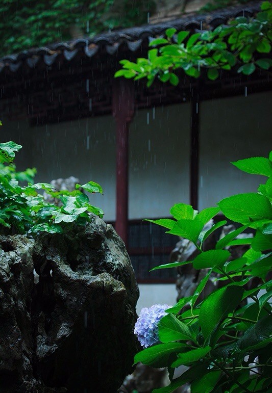 一帘秋雨一帘凉,半廊枫红半廊黄