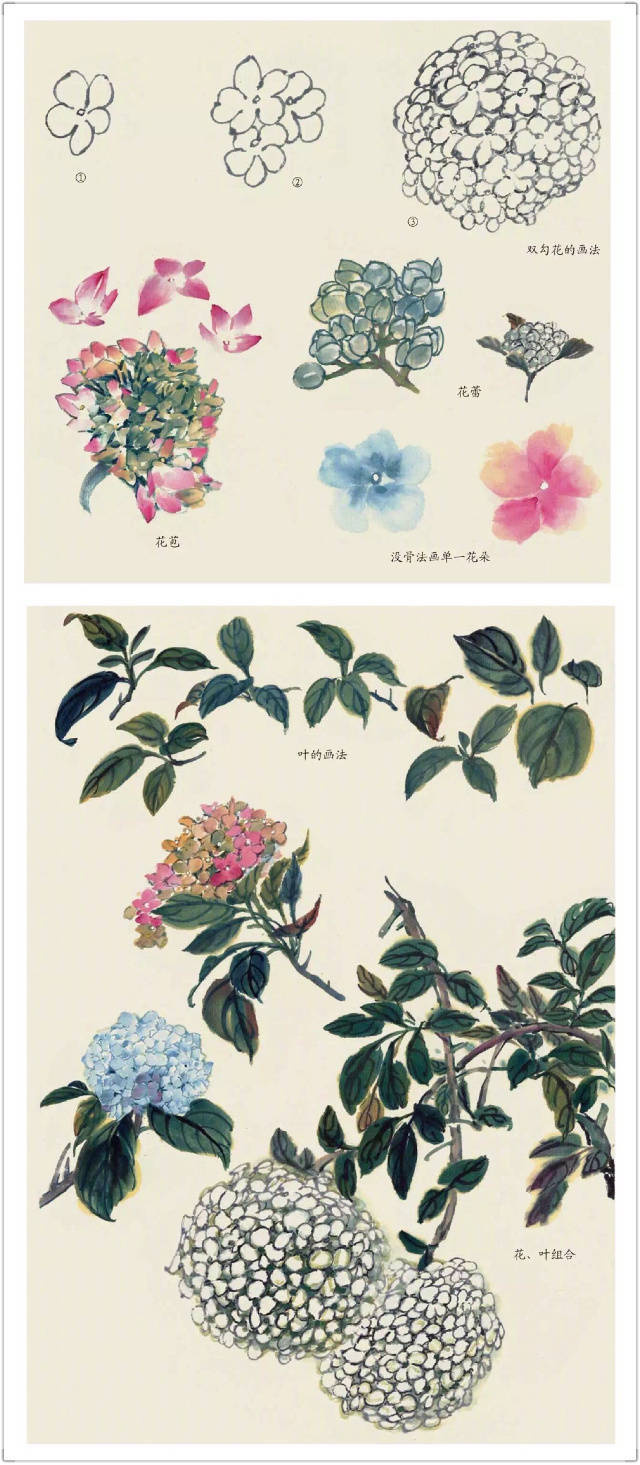 水墨花卉 · 步骤教程 . 更多关注