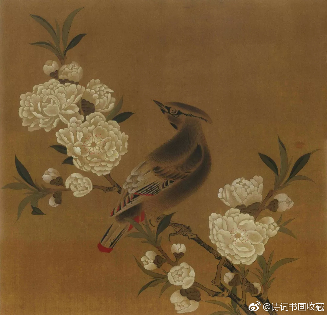 宋代是中国工笔花鸟画发展的艺术高峰|花鸟画|工笔|北宋|钩勒|画风_新浪新闻