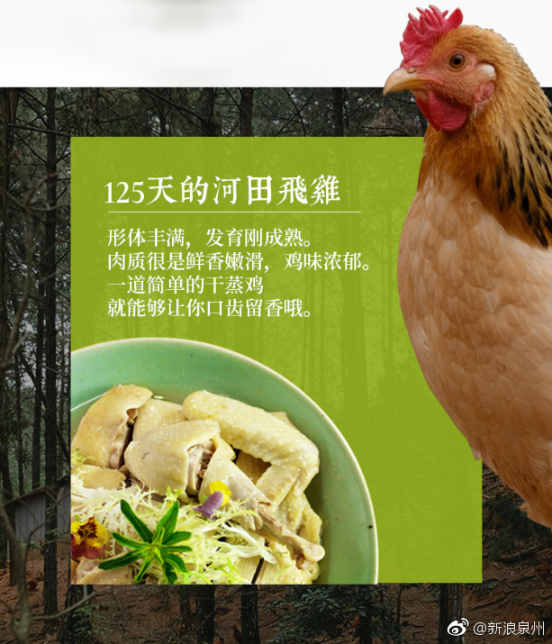 正宗河田鸡 飞到福州,厦门来了