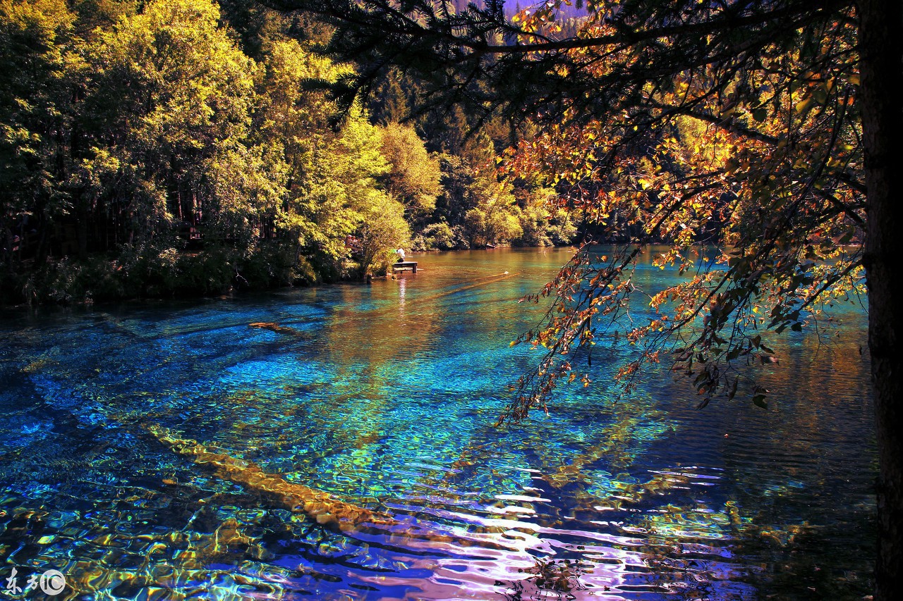 美丽的九寨沟:黄山归来不看岳,九寨归来不看水