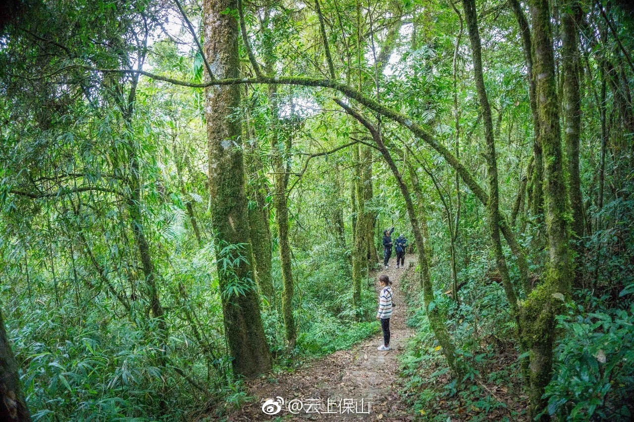 徒步腾冲 越过高山,让心灵睡在高黎贡