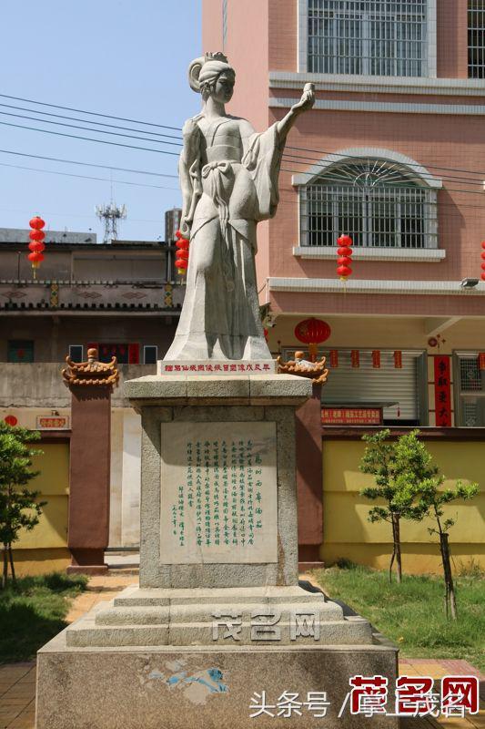 高州一棵传奇缅茄树,为你述说400多年的古往今