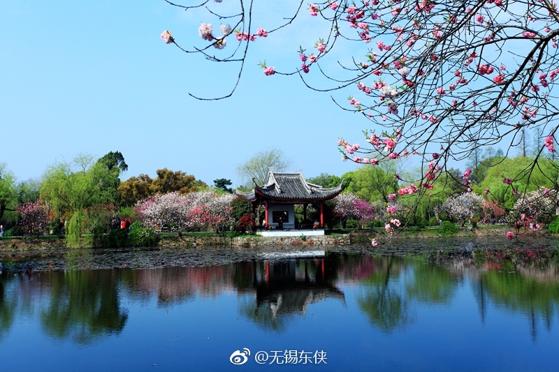 无锡蠡园三面环水,春天的时候,桃花盛开,拂堤春晓,景色迷人